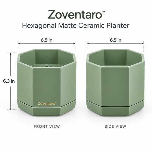 Hexagonal Matte Ceramic Planter — Product Dimensions